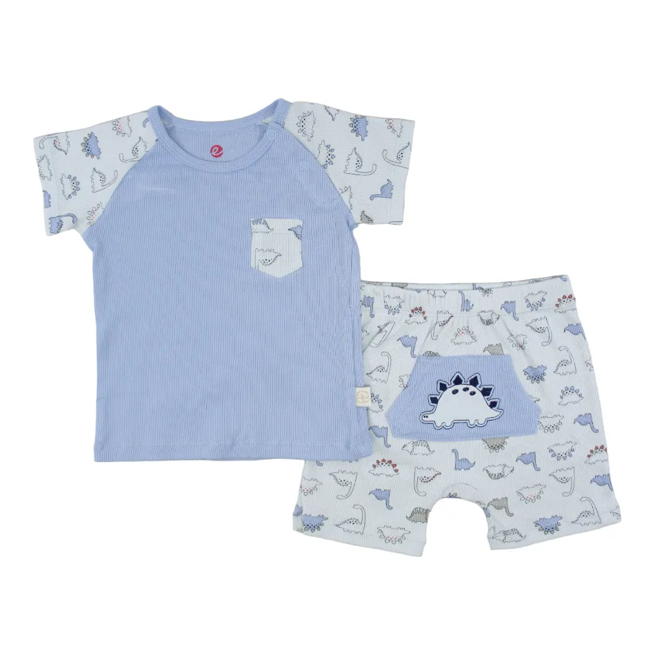 Elegant Kids 2 Pc T-Shirt And Shorts Set - Dinos