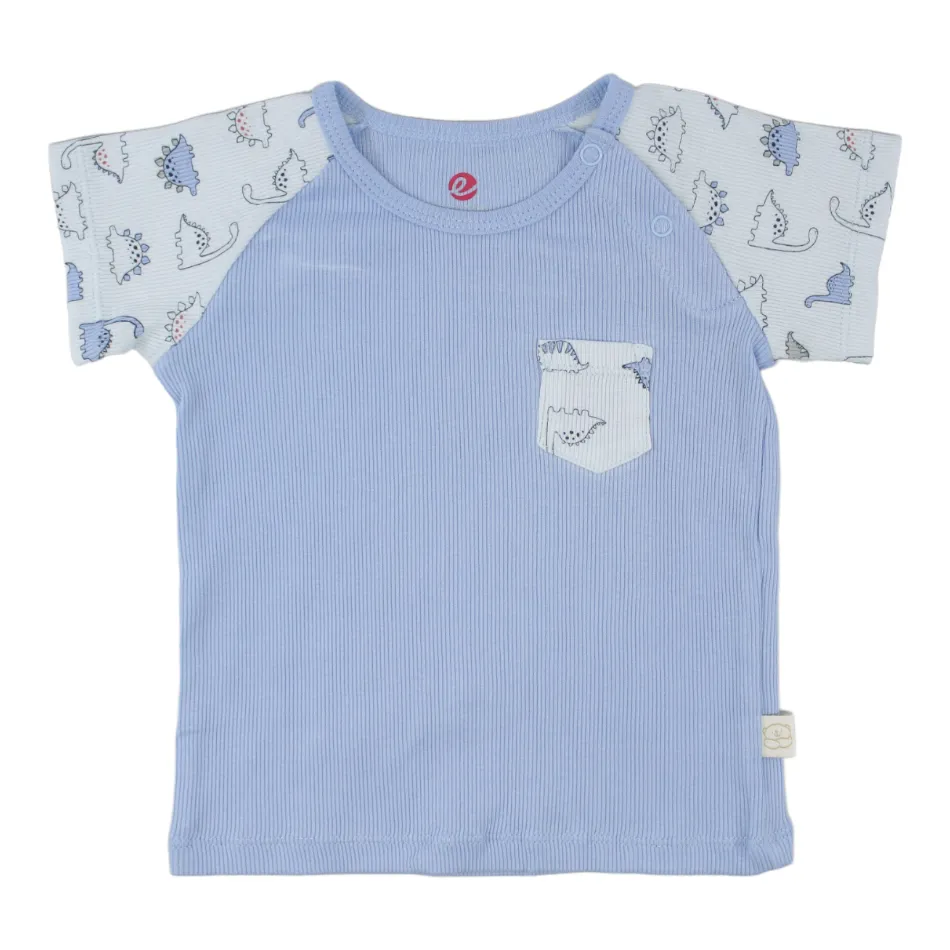 Elegant Kids 2 Pc T-Shirt And Shorts Set - Dinos