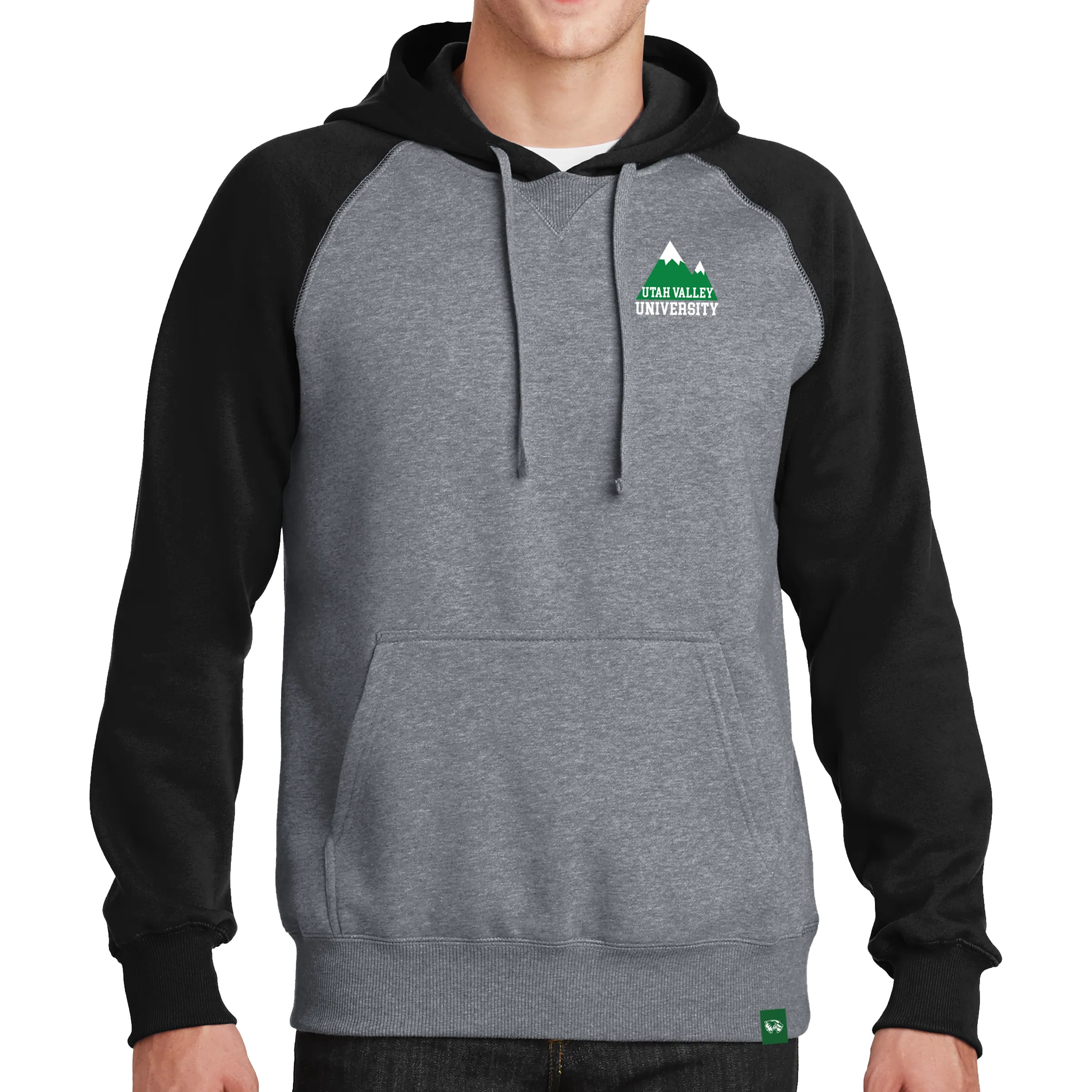 Sport-Tek Raglan Colorblock Pullover Hooded Sweatshirt - Mountain