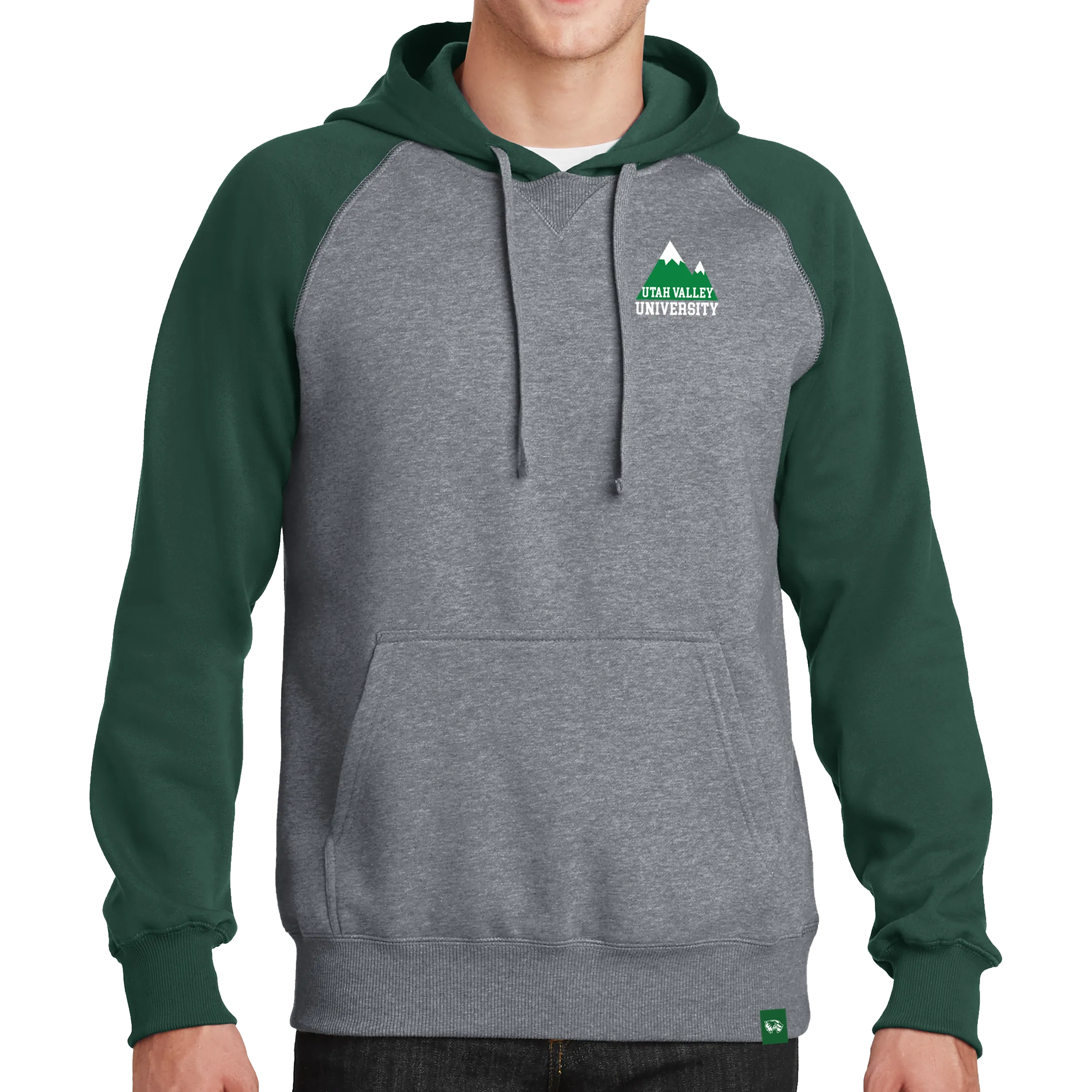 Sport-Tek Raglan Colorblock Pullover Hooded Sweatshirt - Mountain